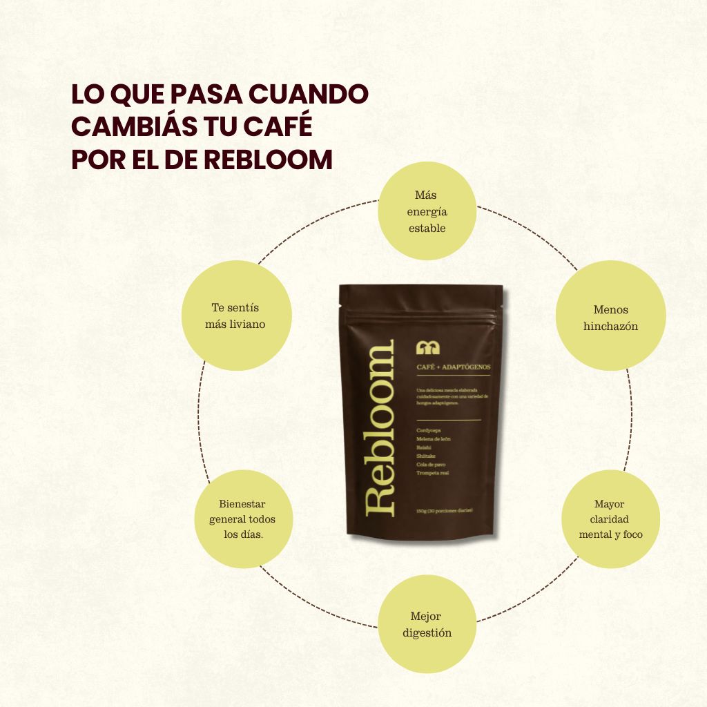 FUNGI CAFÉ | Menos ansiedad, más foco.