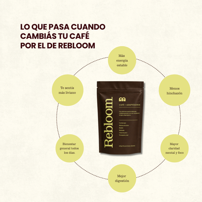 FUNGI CAFÉ | Menos ansiedad, más foco.