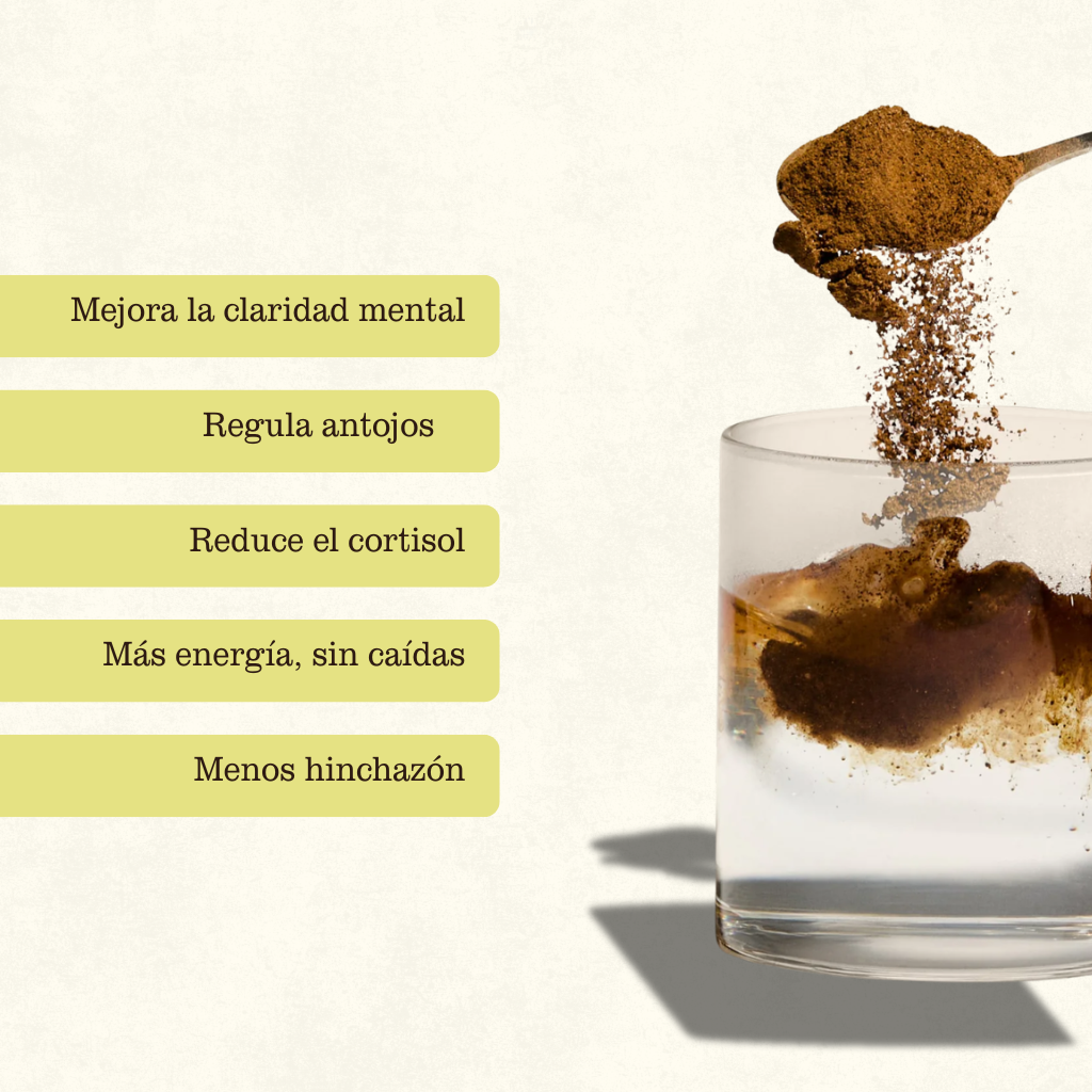 FUNGI CAFÉ | Menos ansiedad, más foco.